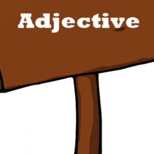 Adjective of Quantitative