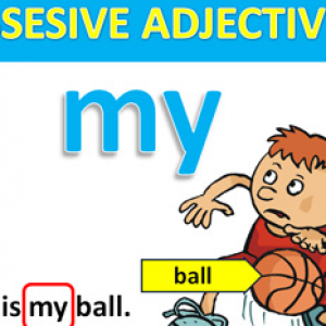 Possessive Adjective Possessive Adjective